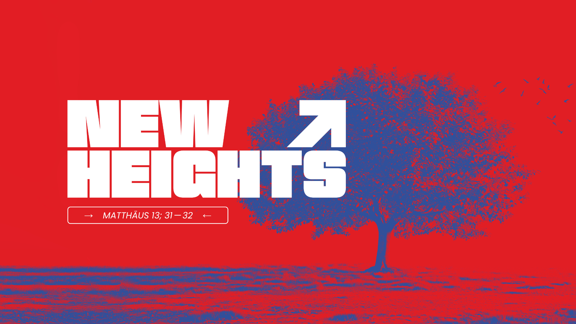 new heights